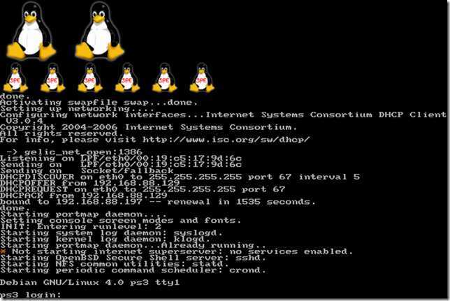 debian-penguin-shot