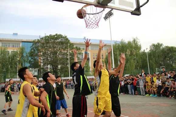 psb (1)