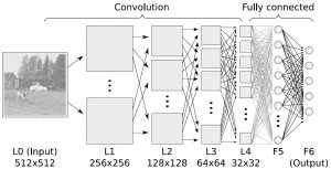 Convolutional_NN