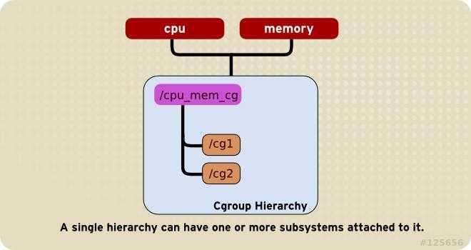 cgroup-rule1