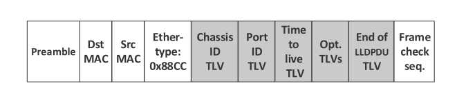 图1 LLDP数据包结构图