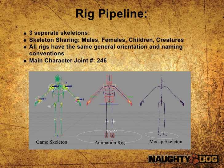 Rig Pipeline:3 seperate skeletons:Skeleton Sharing: Males, Females, Children, CreaturesAll rigs have the same general orie...