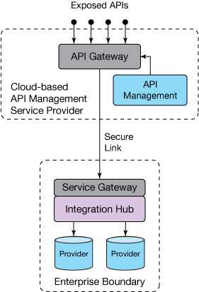 基于云的 API 管理服务提供商