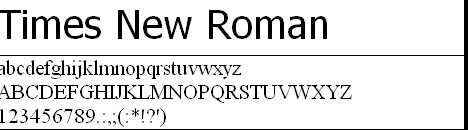 Times New Roman