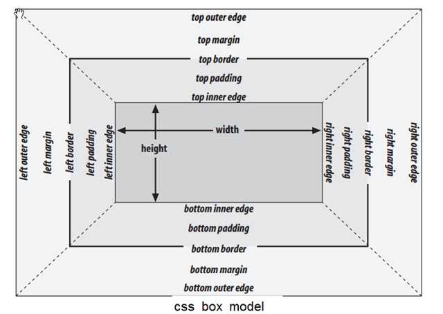 css_box_model