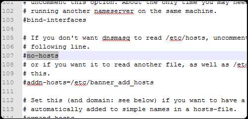 Dnsmasq检查配置