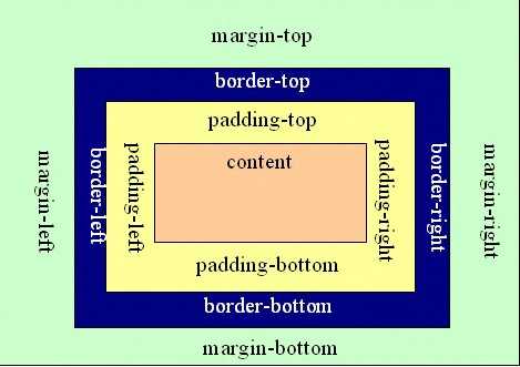 margin padding区别图