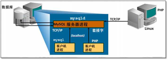 数据库介绍(mysql安装 体系结构,基本管理)