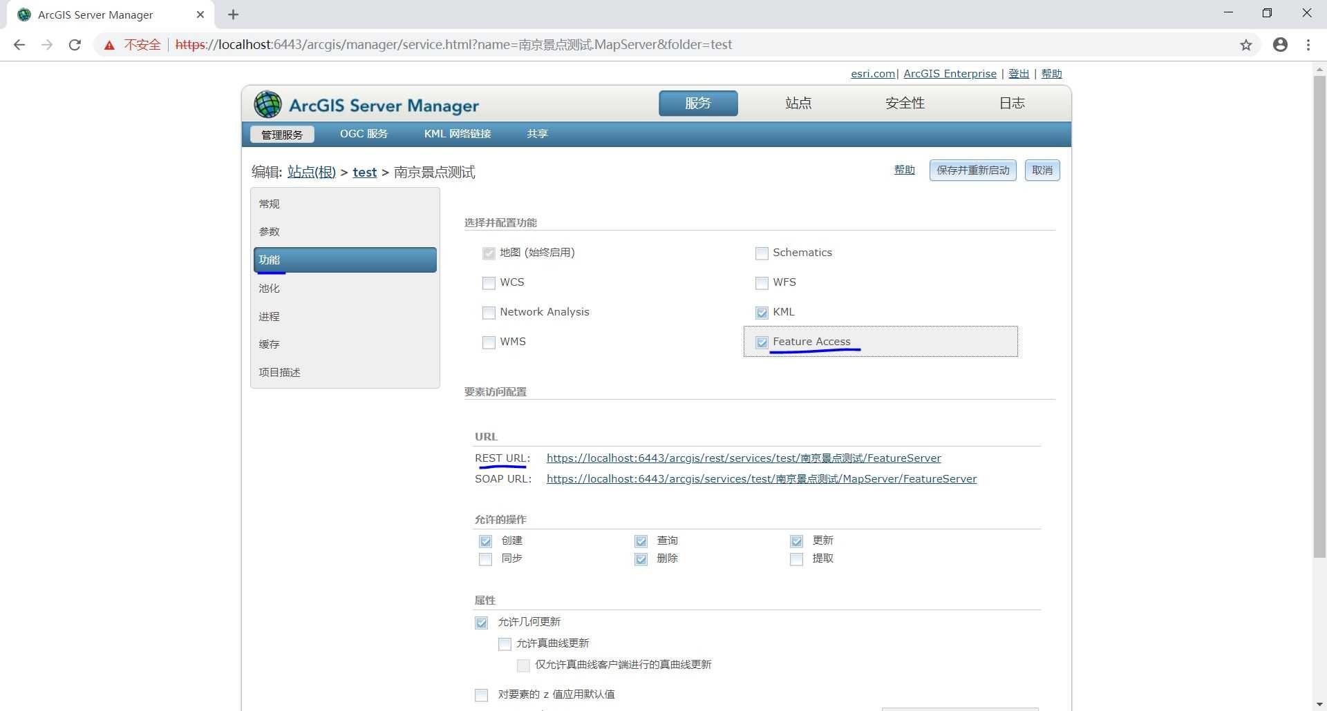在ArcGIS Server Manager查看FeatureAccess