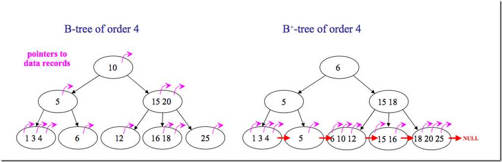 Different between B tree and B plus tree