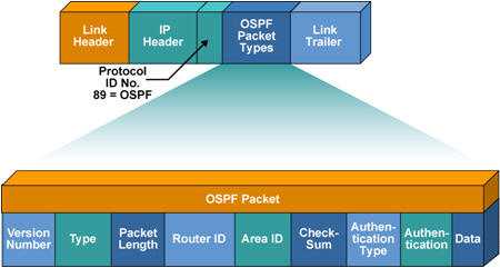 OSPF_packet