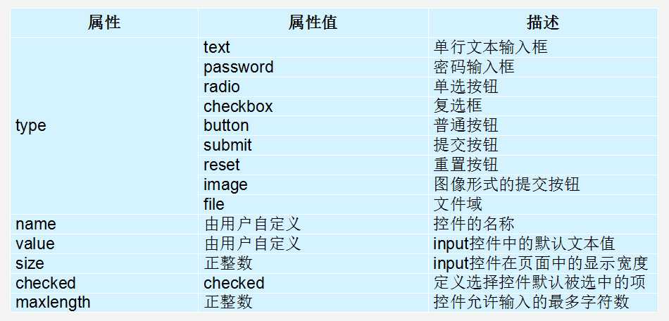 input 属性