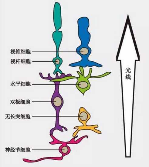 技术分享图片