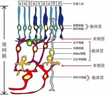 技术分享图片