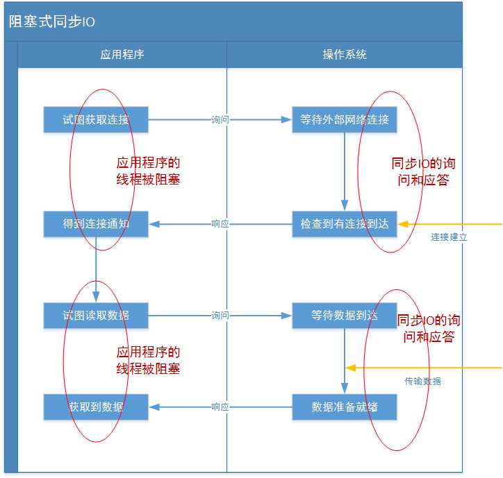 BIO示意图