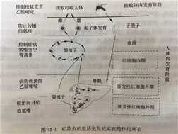 技术图片