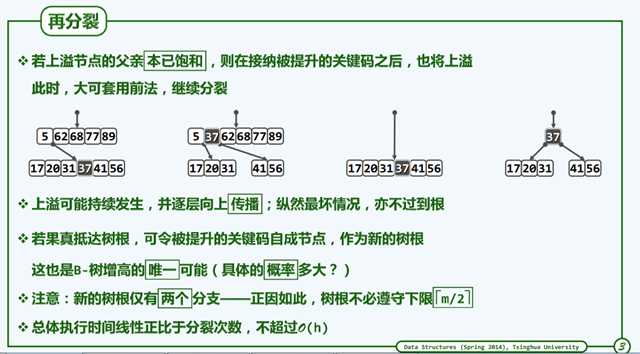 再分裂