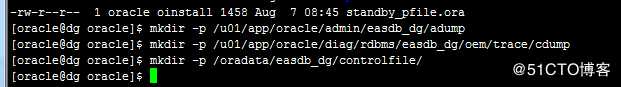 Oracle Dg配置过程