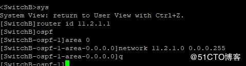 OSPF实训案例配置（二）