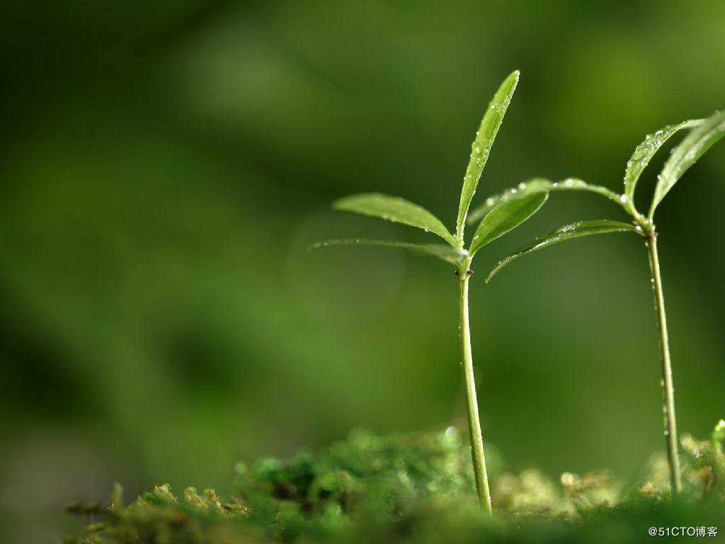 历途人的高情商是怎么来的