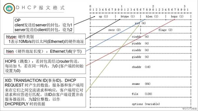 DHCP报文