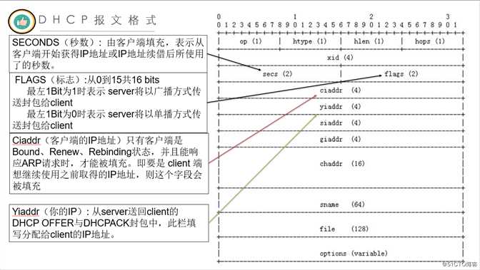 DHCP报文