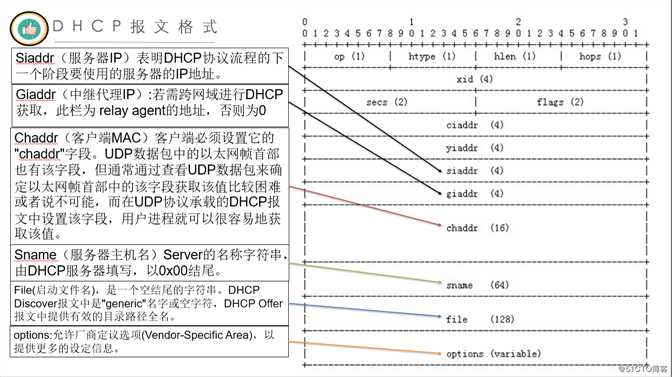 DHCP报文