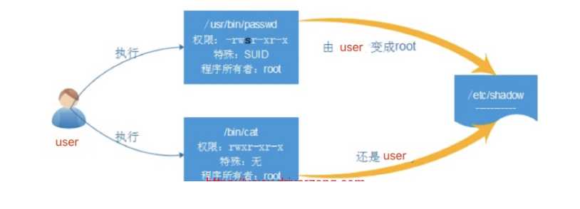 技术图片