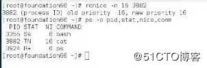 linux进程命令ps快速入门