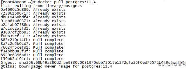 Docker 安装 postgreSQL 11.4