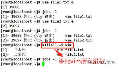 进程和计划任务管理详解（现场实际演练、可跟做）