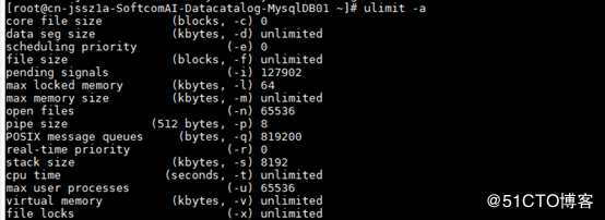 Mysql 连接数与配置文件不一致问题