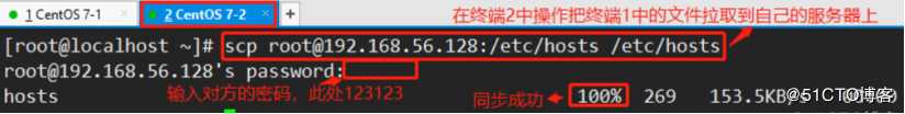 网络设置及其修改配置文件全程实操，可跟做