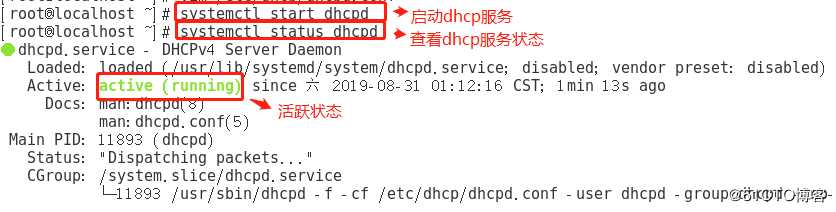 [大型真香现场]DHCP中继服务实验（全程操作，可跟做！）