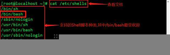 Shell编程规范与变量