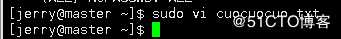当sudo用户偶遇上VI/VIM发生了什么?(sudo+vi/vim=root)藏在你身后的ROOT