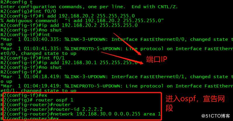 OSPF高级配置