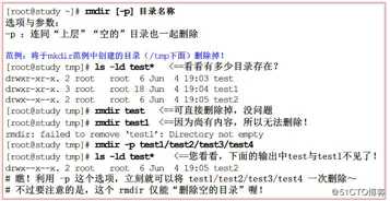 Linux基础命令（一）