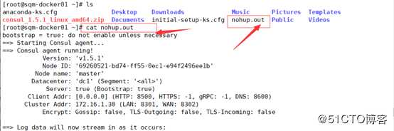 Consul+Registrator+Docker实现服务发现（nginx反向代理）