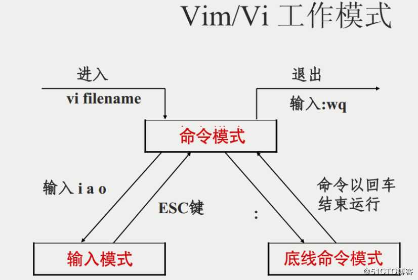 Linux的简单介绍和基础命令（下）