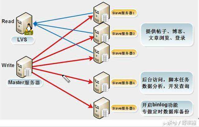 技术图片