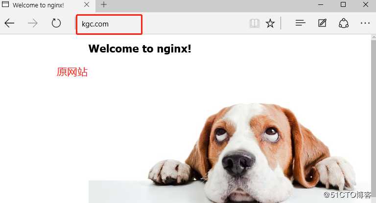 Nginx优化——连接超时，进程管理，压缩，防盗链（二）