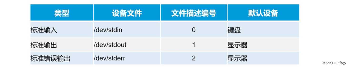 理论：详细学习shell编程规范与变量————理论讲解   初学者一定要点进来