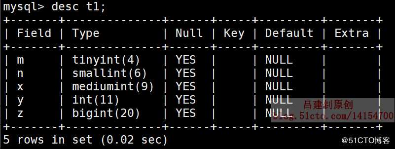 SQL数据类型详解