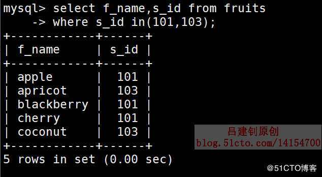 MySQL基本查询示例