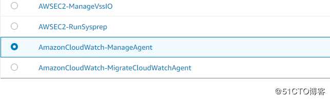 AWS CloudWatch Agent 的配置和使用