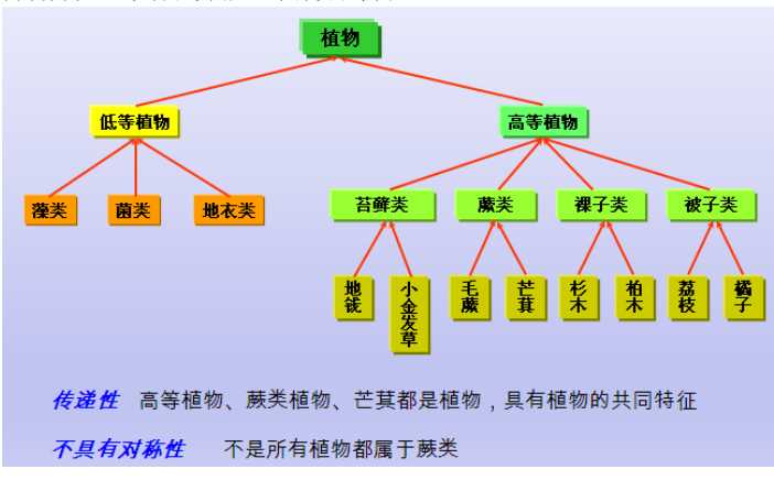 (2)继承关系举例  万事万物中皆有继承,是重要的现象 两个案例:  )