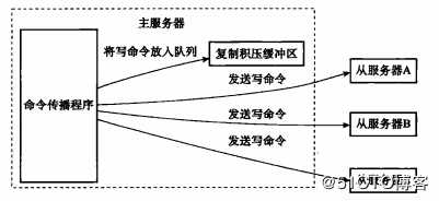 一文带你深入了解 redis 复制技术及主从架构