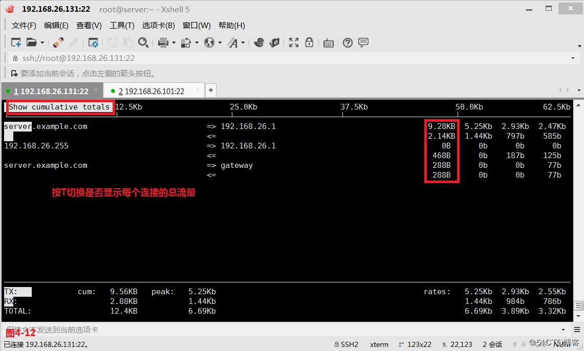 【讲清楚，说明白！】巧用iftop找出是谁占用了带宽