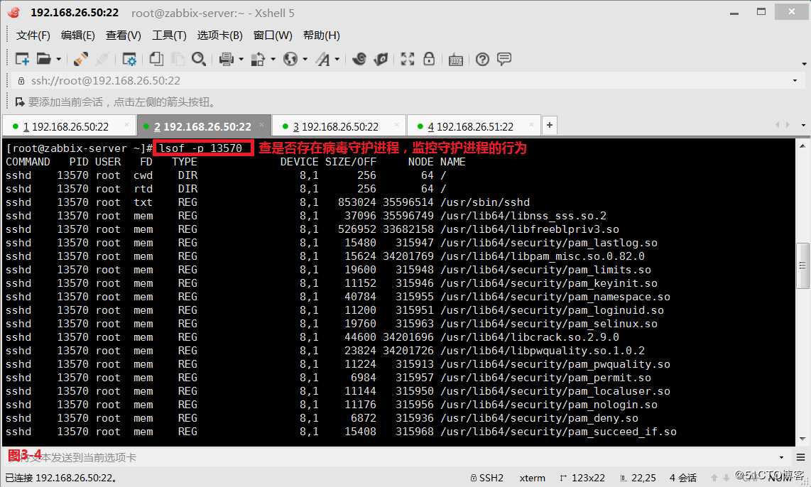 【讲清楚，说明白！】 Linux系统应急响应流程